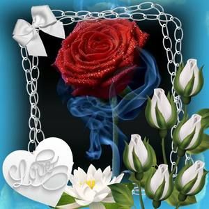 Meet your Posher, Rosie